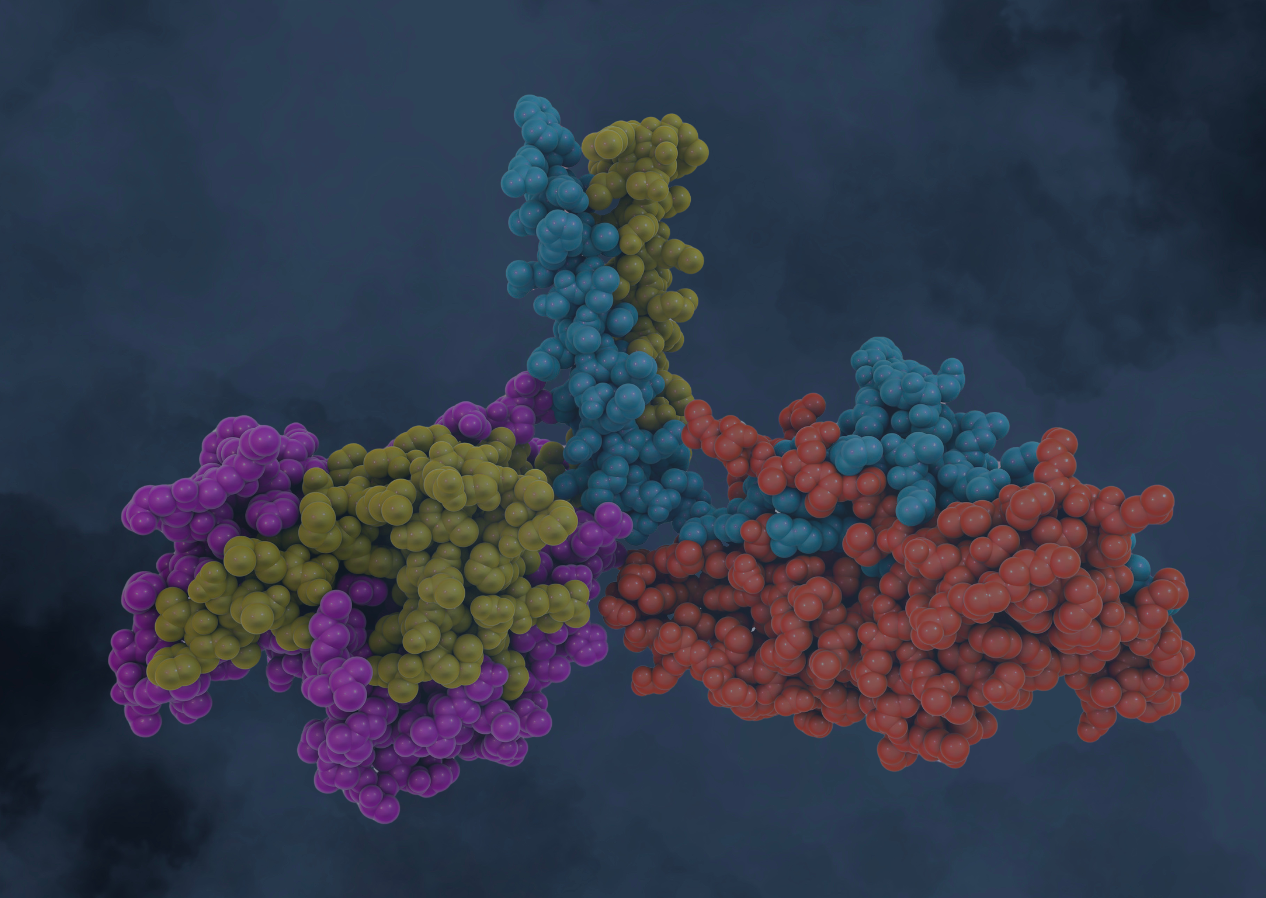 PT tile image CanvaPro to Paint 250624SS