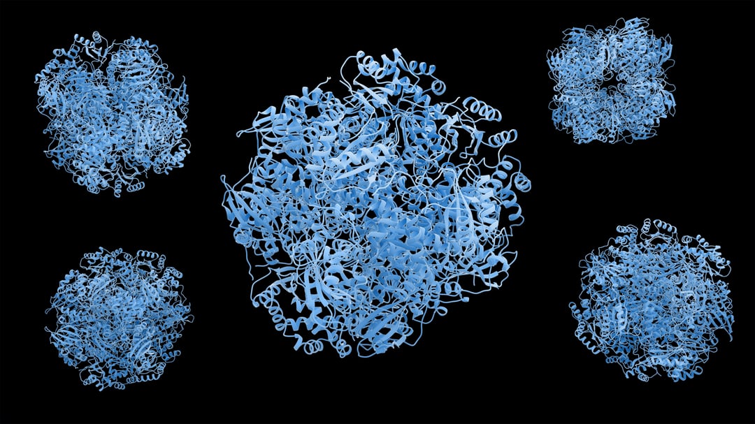 Close up of a tertiary protein structure Close up of a tertiary protein structure