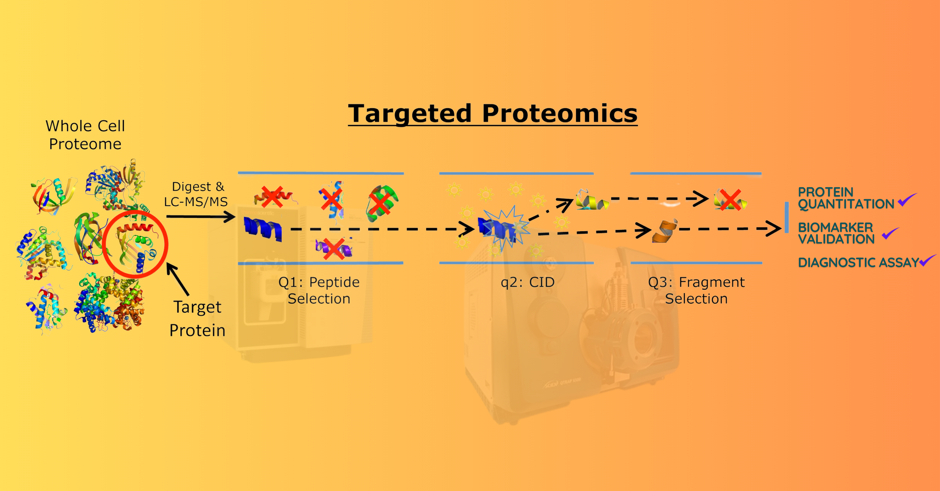Biomarker Discovery and Validation